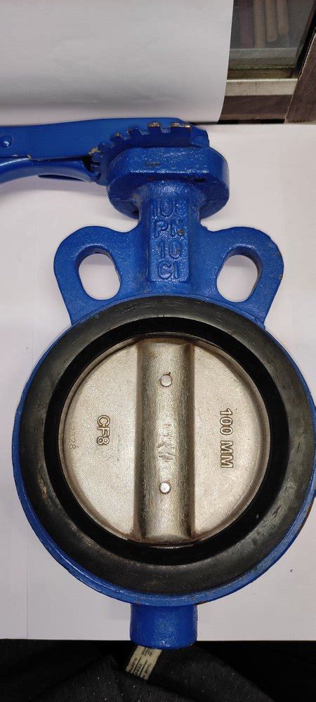 Ci Butterfly Valve 100 Mm At 450 Industrial Valves In Mumbai ID