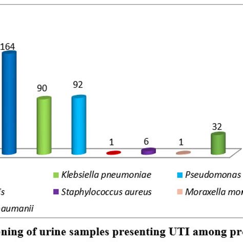 Pathophysiology Of Multidrug Resistant Klebseilla Pneumoniae Causing