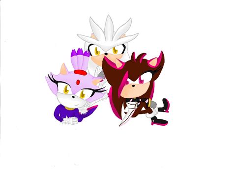 Team Future Sonic Heroes Fan Art 23056612 Fanpop