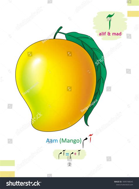 Urdu Alphabet Alif Mad Picture Mango Stock Illustration 1899748045 Shutterstock