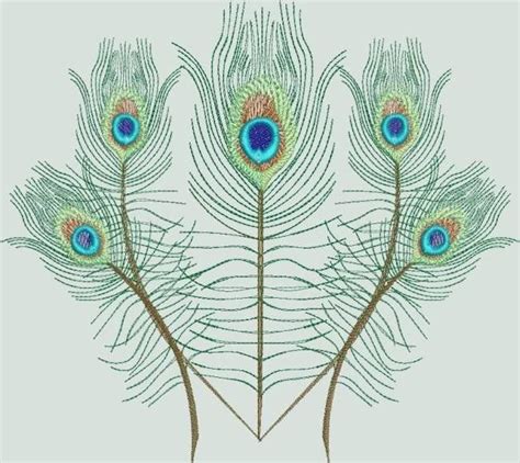 Bfc0462 Peacock Feathers Peacock Embroidery Designs Peacock Feathers