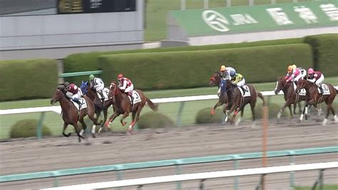 【2歳新馬戦】動画・結果コーカスが差し切り4馬身差の圧勝