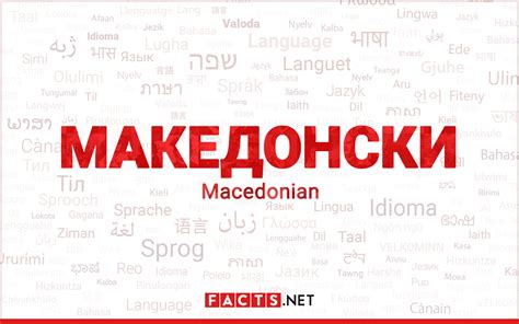 14 Enigmatic Facts About Macedonian (Language) - Facts.net