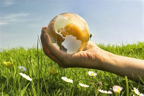 Derecho A Un Medio Ambiente Sano Y Equilibrado