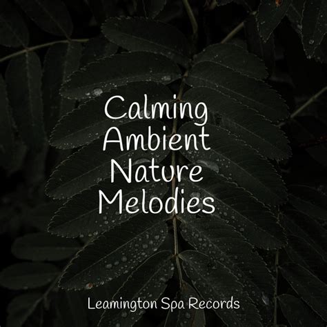 Feeling Calm Song And Lyrics By Natural Sample Makers Ambientalism