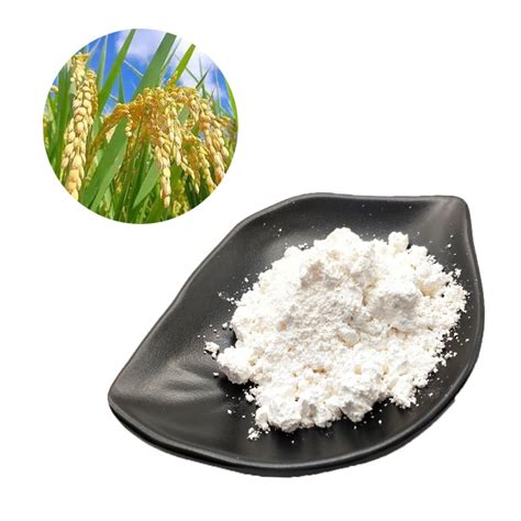 Ferrulic Acid Rice Bran Extract Gmp Ferulic Acid Powder In Stock