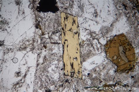 Biotite Microscope