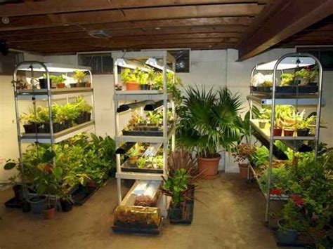 40 Easy To Try Hydroponic Gardening For Beginners Design Ideas And Remodel