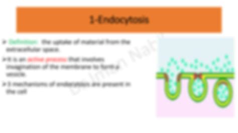 Solution Vesicular Transport Across The Cell Membrane Studypool