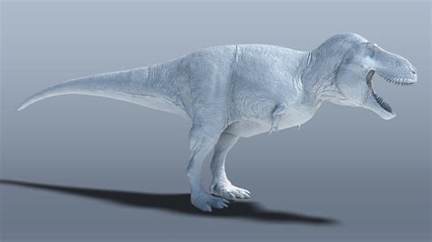 Tyrannosaurus 3d Reconstruction Wip By Sketchy Raptor On Deviantart