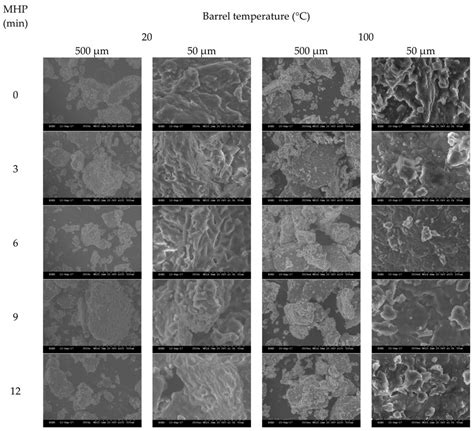 Figure A Representative Scanning Electron Photomicrographs Of