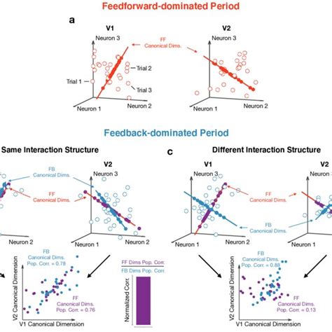 Using Canonical Correlation Analysis Cca To Capture Population Download Scientific Diagram