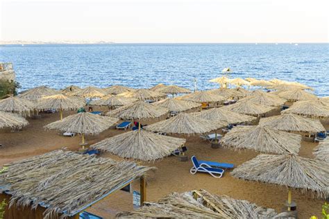 Plage De Sable Avec Transats Et Parasols En Paille Blanche Dans La