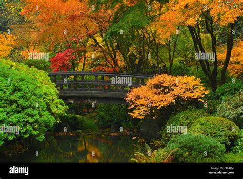 Autumn at Portland Japanese Garden, Portland, Oregon, USA. (PR Stock ...