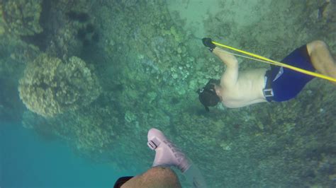 Oahu Hawaii Spearfishing Makaha Oct 2015 Youtube