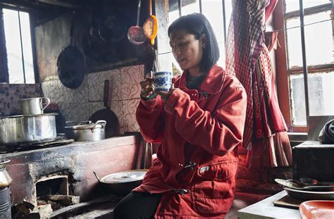 Fay Archive - Red Panda