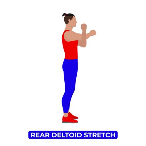 Vector Man Doing Rear Deltoid Shoulder Stretch. Cross Body Reach. An