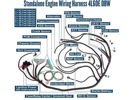 Stand Alone Wiring Harness For 4 3 Vortec