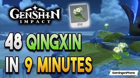 genshin impact guide   obtain    qingxin