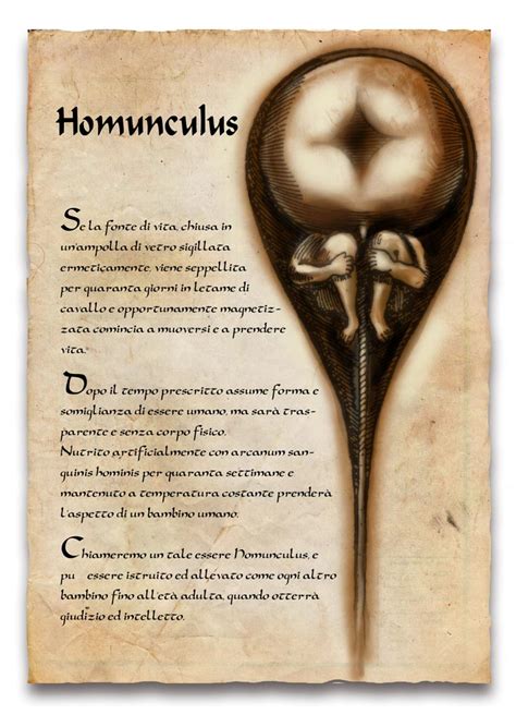 Homunculus by spacechili on DeviantArt