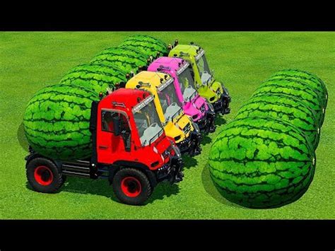 LOAD TRANSPORT GIANT WATERMELONS WITH COLORED MINI TRUCKS Farming