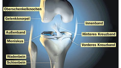 OVB Heimatzeitungen sechs häufigsten Verletzungen am Knie und