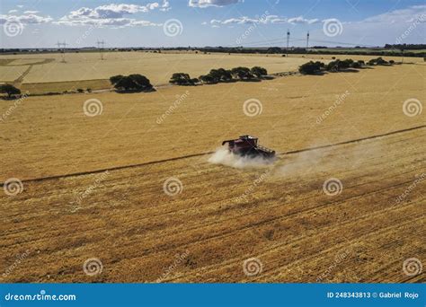 Wheat Harvest In The Argentine Countryside La Pampa Province