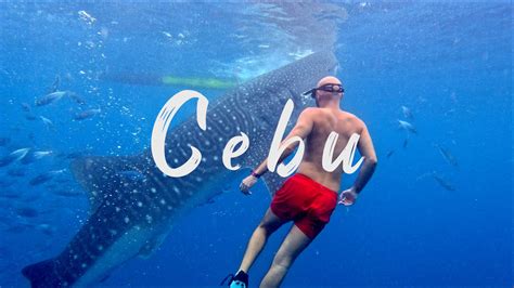 CEBU CHANGED OUR LIVES Oslob Whale Sharks Tumalog Falls Kawasan