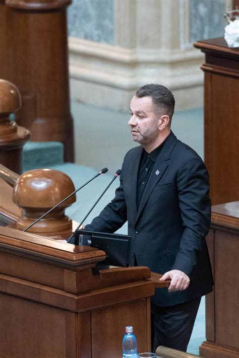 Senator Ovidiu Puiu Vicepre Edinte Psd Arge Rom Nia Stabil E Una