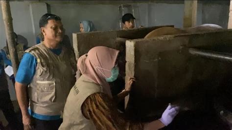 Dinas Pkp Pemkot Parepare Cek Kesehatan Hewan Kurban Jelang Idul Adha