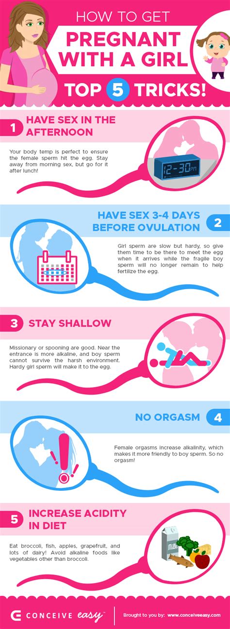 How To Get Pregnant With A Girl Infographic