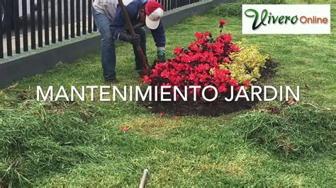 Mantenimiento del jardín Consejos para mi huerto