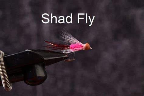 Shad Flies Saltwater Custom Flies