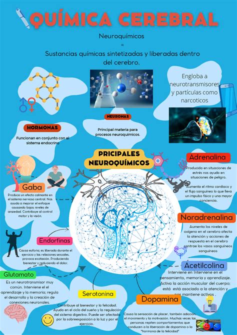 Infografia Sobre Neurotransmisores Nbkomputer