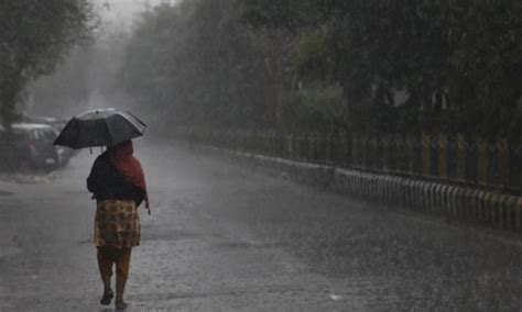 Imd Issues Yellow Alert For Telangana Rains To Lash State For Next 24 Hrs