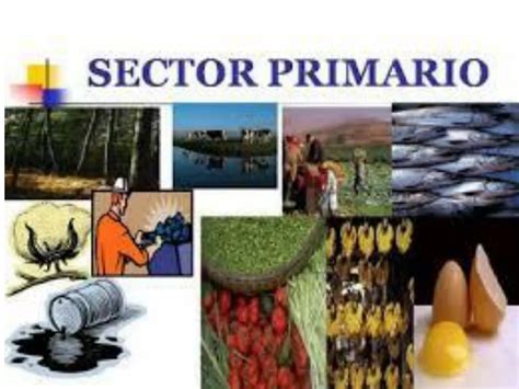 Ppt Sector Primario Powerpoint Presentation Free Download Id7128166