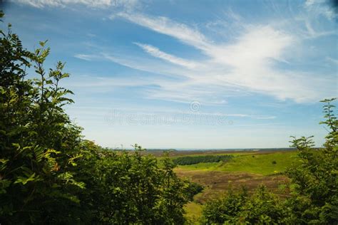 North Yorkshire Moors in England Stock Photo - Image of nature, natural ...