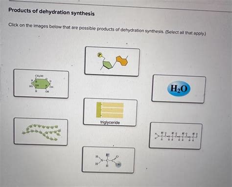 Solved Products of dehydration synthesis Click on the images | Chegg.com