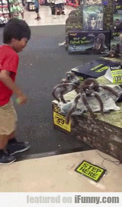 Kid Halloween Scary Spiders Big | GIF | PrimoGIF