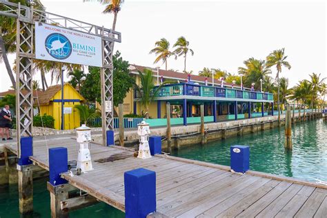 Bimini Big Game Club Resort Marina Bahamas Location Yacht Rentals