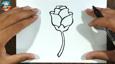 Como Dibujar Una Rosa Sencilla How To Draw A Rose Easy Youtube