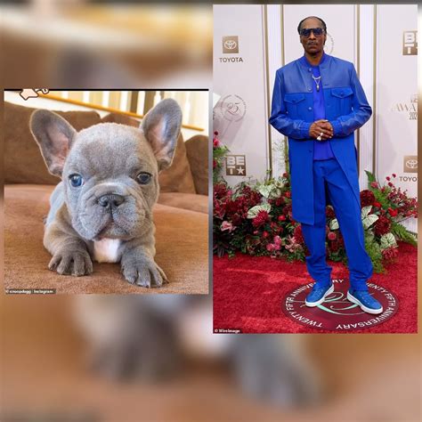 ?Miss my dogg? ? American rapper Snoop Dogg mourns d3ath of beloved