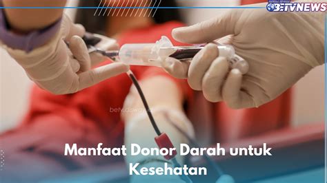 Manfaat Donor Darah Untuk Kesehatan Ampuh Meningkatkan Produksi Sel