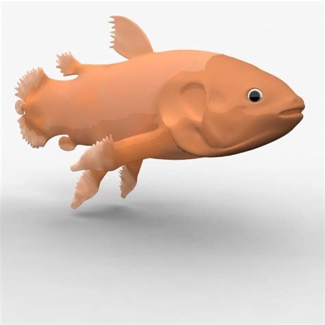 Coelacanth Prehistoric 3d Model