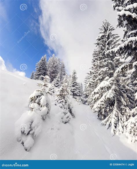 Paisagem Bonita Do Inverno Nas Montanhas Foto De Stock Imagem De