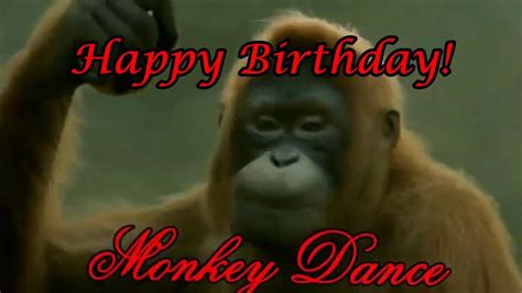 Happy Birthday Monkey Dance Funny Happy Birthday Wishes Happy