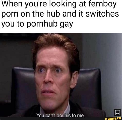 When Youre Looking At Femboy Porn On The Hub And It Switches You To Pornhub Gay You Cant Do This