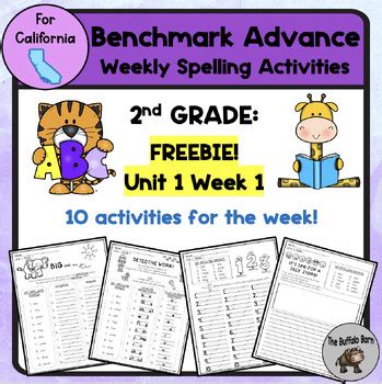 Results For Benchmark Advance Spelling Activities Second Grade TPT