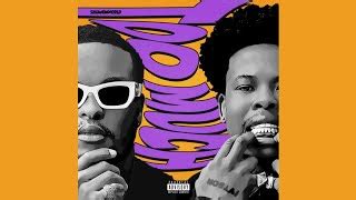 Skhandaworld K O Nasty C Too Much Official Audio The King Of Amapiano