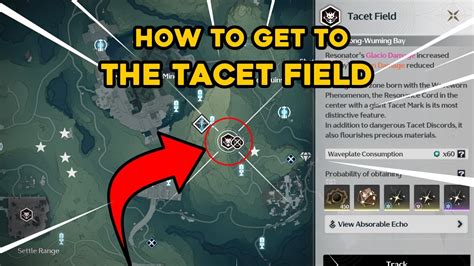 How To Get To The Glacio And Electro Tacet Field Wuthering Waves